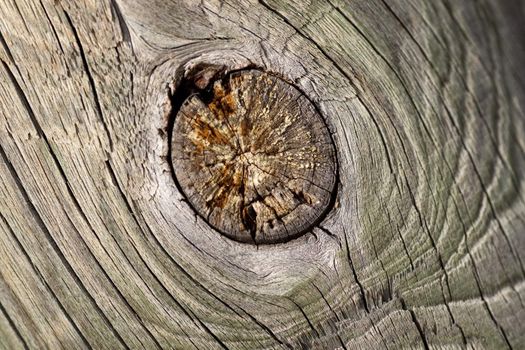 Close up view of some old texture of a wooden board.