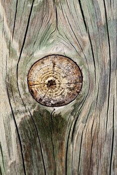 Close up view of some old texture of a wooden board.