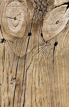 Close up view of some old texture of a wooden board.