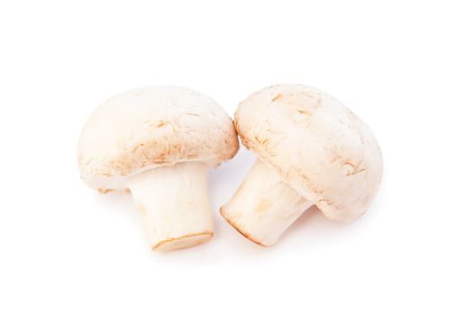 Two fresh champignons isolated on white