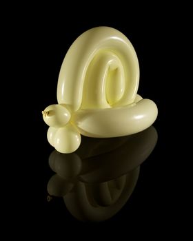 Creme colored balloon snail isolated on black