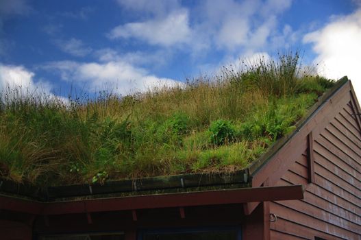 A vegetated Sod Roof, typical of traditional Scandinavian buildings.