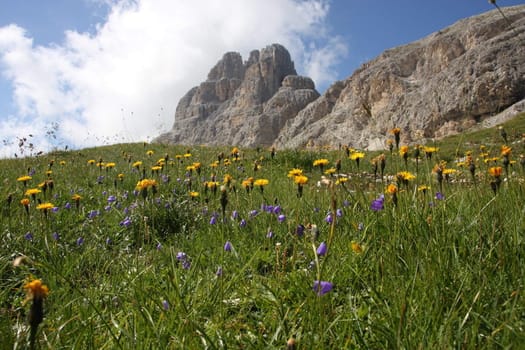 dolomiti