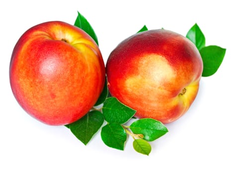 two nectarines with green leaves over white background 