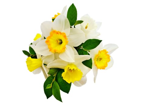 bunch of narcissus flowers, isolated on white with clipping path 