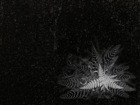 fern decoration at black granite gravestone, copyspace 