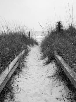 A path to the beach shown in black and white