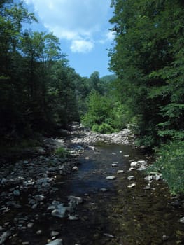 Mountain brook in the mountain of North Carolina