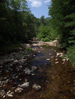 Mountain brook in the mountain of North Carolina