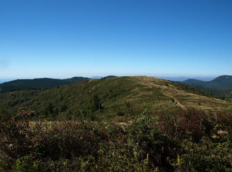 View along the Art Loeb Trail in the Shining Rock Area of the Pisgah Forest in North Carolina.