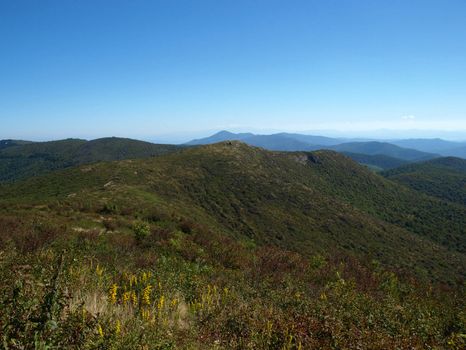 View along the Art Loeb Trail in the Shining Rock Area of the Pisgah Forest in North Carolina.