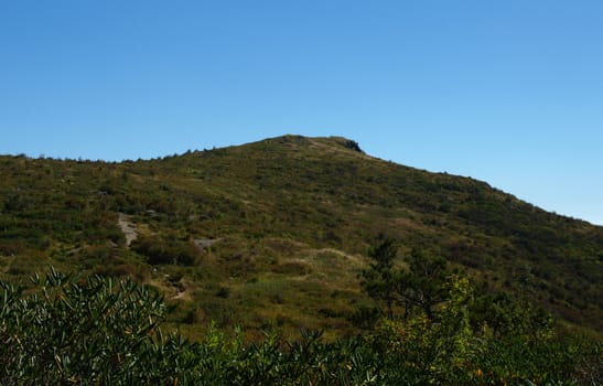 View along the Art Loeb Trail in the Shining Rock Area of the Pisgah Forest in North Carolina.