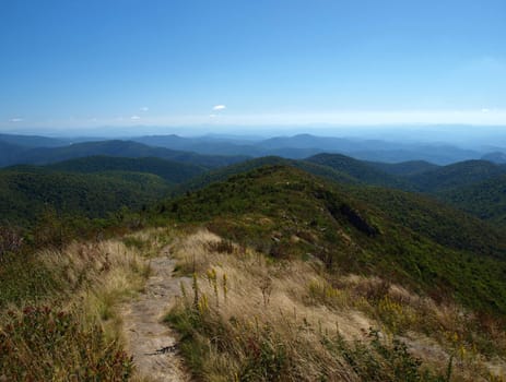 View along the Art Loeb Trail in the Shining Rock Area of the Pisgah Forest in North Carolina.