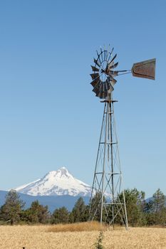 Windmill on Wheat Grass Field with Mount Jefferson in Central Oregon