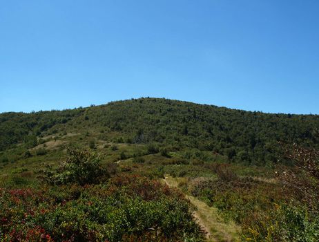 View along the Art Loeb Trail in the Shining Rock Area of the Pisgah Forest in North Carolina.