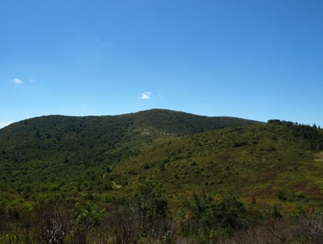 View along the Art Loeb Trail in the Shining Rock Area of the Pisgah Forest in North Carolina.