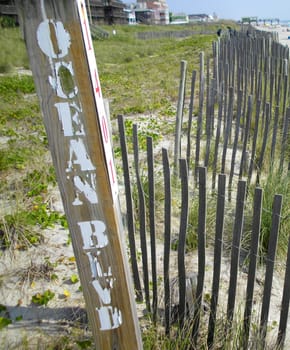 Oceam road sign just before the beach starts at a resort town.