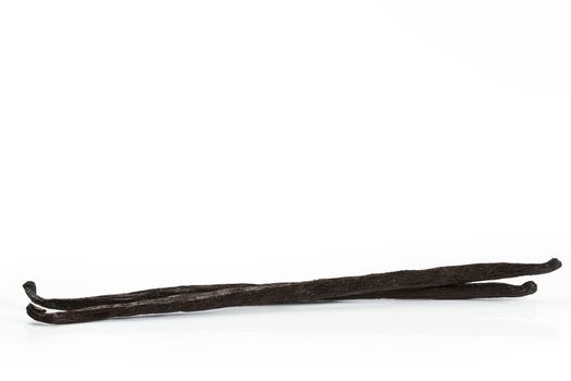 two vanilla beans from side on white background