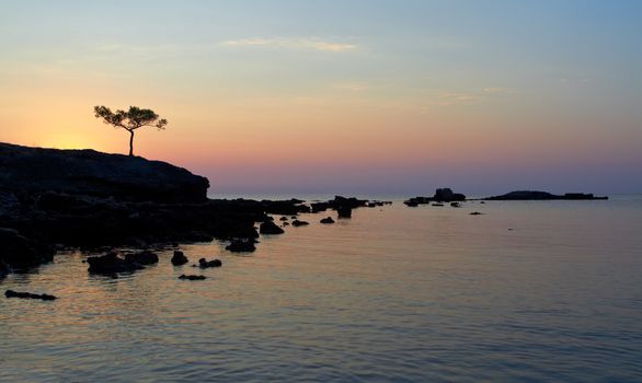 A beautiful Mediterranian sea sunrise with alone pine in the foreground.