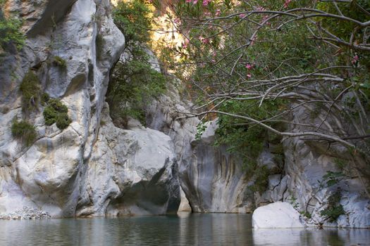 Mountains clear river in  green canyon. Chemuva, Turkey