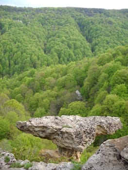 Greens; the Caucasian ridge; rocks; a relief; a landscape; a hill; a panorama; mountains; Caucasus; mountain; a slope      