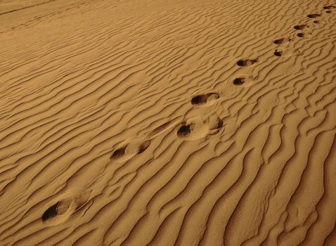 Little Girl Wandering Alone in Sand Dunes