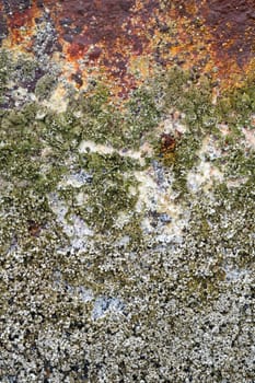 Barnacles on Rusty Steel Shipwreck Background Vertical