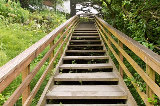 Wooden Stairs at Hiking Trail to the Beach
