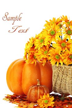 Autumn or Thanksgiving Bouquet with pumpkins and leaves against a white background. Shallow DOF. 