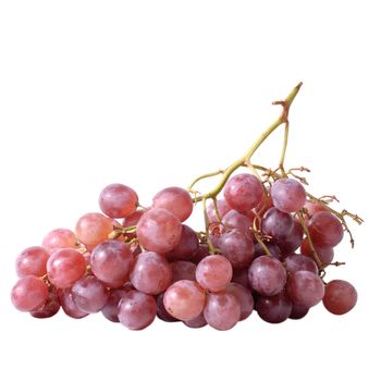 Isolated fruit of grape against white background.