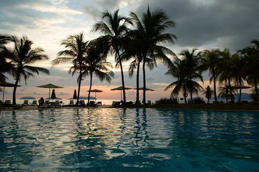 Evening in tropical hotel, silhouette of palm tree and swimming pool