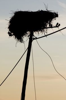 View of empty stork nest on top of a electricity pole.