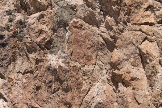 A jagged rock wall in Nevada.