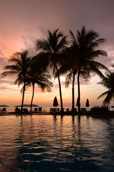 Evening in tropical hotel, silhouette of palm tree and swimming pool