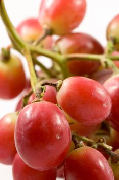 Ripe grapes isolated over white back ground