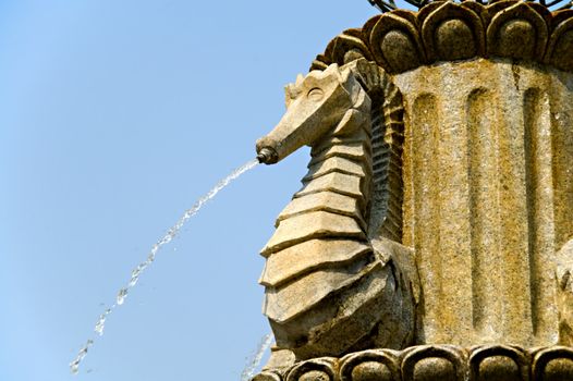 Close up of stone fountain of sea horse