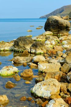 The big stones on sea coast. A sea landscape