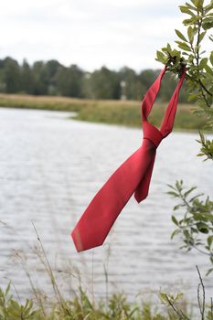 Red necktie hanging on tree with nature background