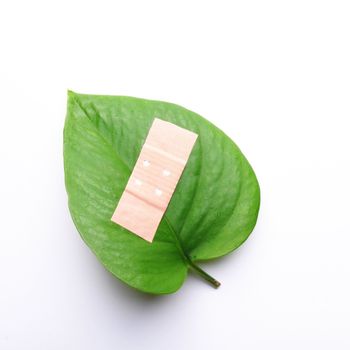 eco ecology ecological nature or environmental concept with green leaf and band aid on white