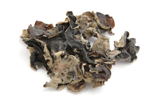 black fungus