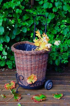 A garden trolley with a background of leaves