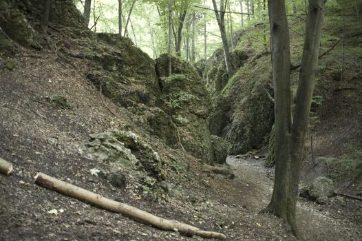 ojcowski national park in close neighbourhood of cracow