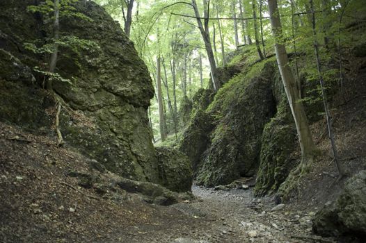 ojcowski national park in close neighbourhood of cracow