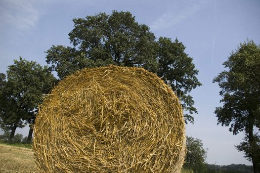 gold and blue are colours of agriculture