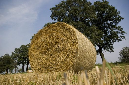 gold and blue are colours of agriculture