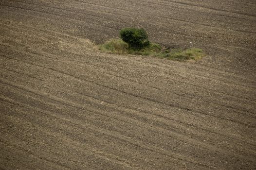 agriculture brown soil at the end of summer