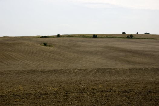 agriculture brown soil at the end of summer