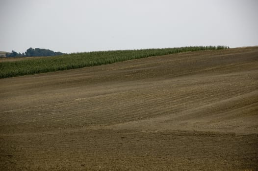 agriculture brown soil at the end of summer