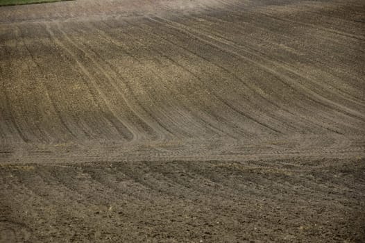 agriculture brown soil at the end of summer