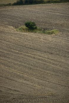 agriculture brown soil at the end of summer